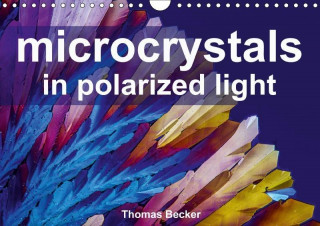 Microcrystals in Polarized Light 2017