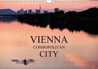 Vienna Cosmopolitan City 2017