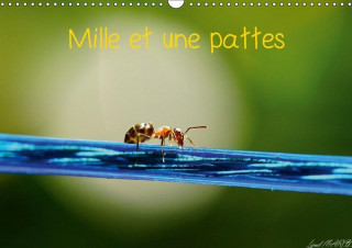 Mille Et Une Pattes 2017