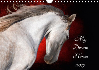 My Dream Horses 2017 2017