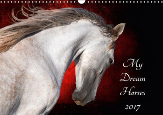 My Dream Horses 2017 2017