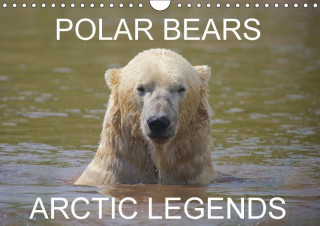Polar Bears - Arctic Legends 2017