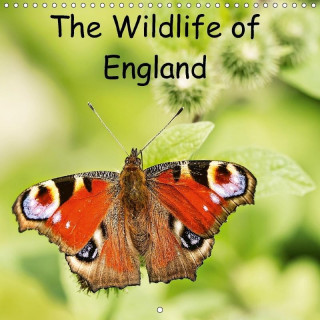 Wildlife of England 2017