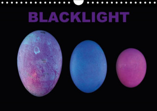 Blacklight 2017