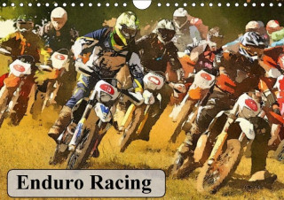 Enduro Racing 2017