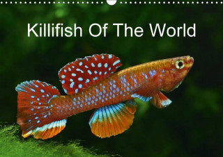 Killifish of the World 2017