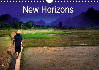 New Horizons 2017