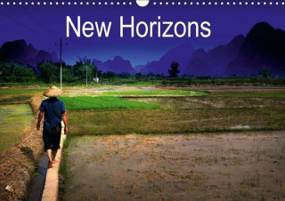 New Horizons 2017