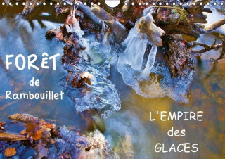 Foret De Rambouillet - L'empire Des Glaces 2017