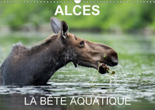 Alces - La Bete Aquatique 2017