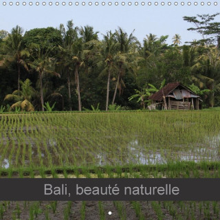 Bali, beaute naturelle 2017