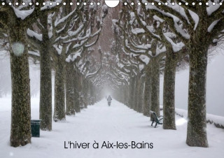 L'Hiver a Aix-Les-Bains 2017