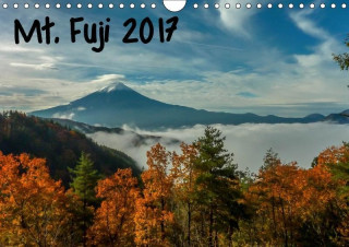 Mt. Fuji 2017 2017