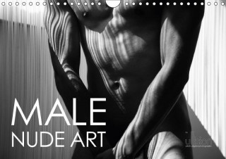 Male Nude Art 2017