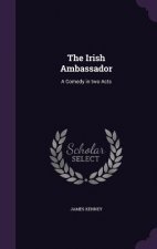 Irish Ambassador