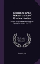 Efficiency in the Administration of Criminal Justice