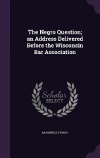 Negro Question; An Address Delivered Before the Wisconsin Bar Association