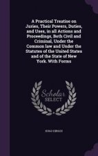 Practical Treatise on Juries, Their Powers, Duties, and Uses, in All Actions and Proceedings, Both Civil and Criminal, Under the Common Law and Under