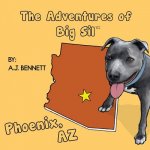 The Adventures of Big Sil Phoenix, AZ