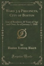 Ward 3 9 Precincts, City of Boston