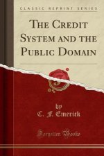 The Credit System and the Public Domain (Classic Reprint)