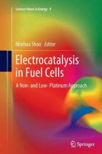 Electrocatalysis in Fuel Cells