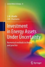 Investment in Energy Assets Under Uncertainty