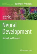 Neural Development