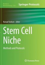 Stem Cell Niche