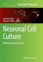 Neuronal Cell Culture