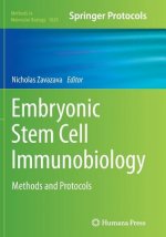 Embryonic Stem Cell Immunobiology