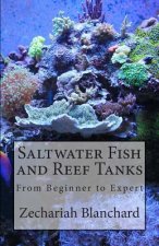 Saltwater Fish and Reef Tanks