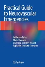 Practical Guide to Neurovascular Emergencies