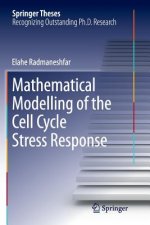 Mathematical Modelling of the Cell Cycle Stress Response