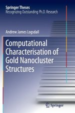 Computational Characterisation of Gold Nanocluster Structures