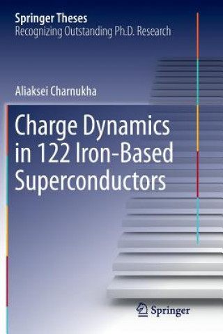 Charge Dynamics in 122 Iron-Based Superconductors