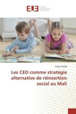 Les CED comme stratégie alternative de réinsertion social au Mali