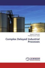 Complex Delayed Industrial Processes