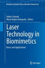 Laser Technology in Biomimetics