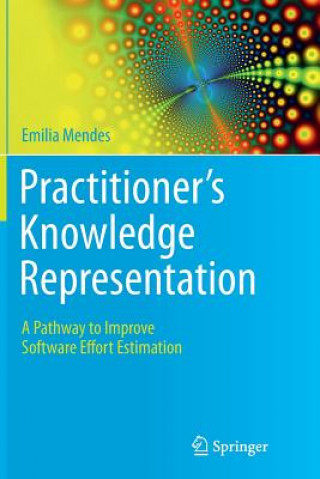 Practitioner's Knowledge Representation