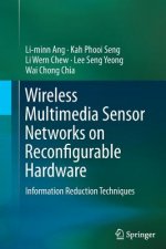 Wireless Multimedia Sensor Networks on Reconfigurable Hardware