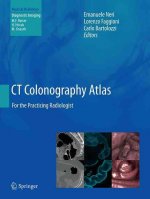 CT Colonography Atlas
