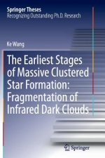 Earliest Stages of Massive Clustered Star Formation: Fragmentation of Infrared Dark Clouds