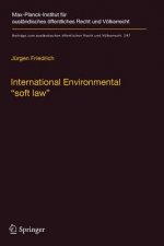 International Environmental 