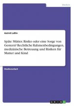 Spate Mutter. Risiko oder eine Sorge von Gestern? Rechtliche Rahmenbedingungen, medizinische Betreuung und Risiken fur Mutter und Kind
