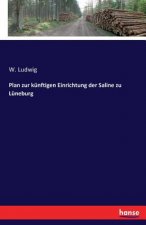 Plan zur kunftigen Einrichtung der Saline zu Luneburg