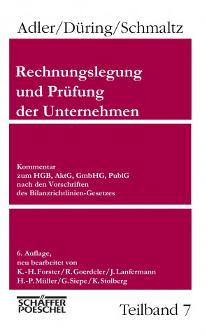 Rechnungslegung und Prüfung der Unternehmen, 6. Aufl., 7 Bd.