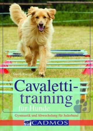 Cavalettitraining für Hunde