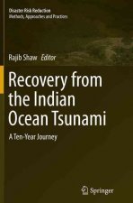 Recovery from the Indian Ocean Tsunami