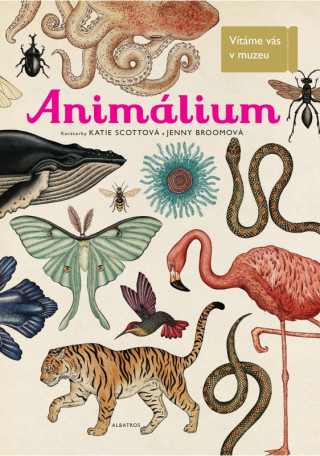 Animalium